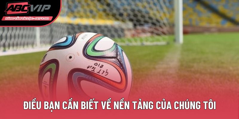 Điều bạn cần biết về nền tảng của chúng tôi