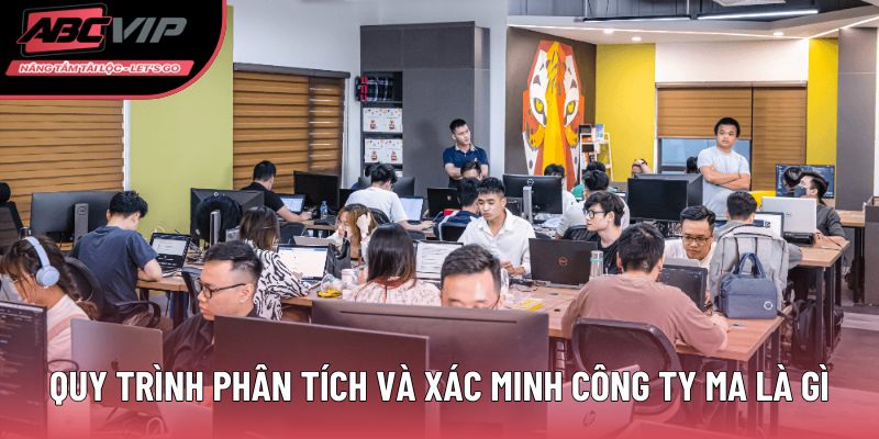 Quy trình phân tích và xác minh công ty ma là gì